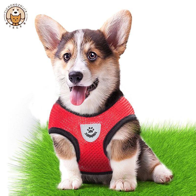 Lee más sobre el artículo Arnés para gatos, chaleco, correa para caminar para cachorro, Collar