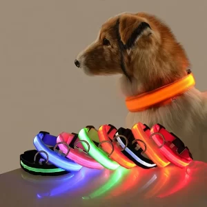 Lee más sobre el artículo Correa LED de nailon para perro, seguridad nocturna, parpadeante, qu
