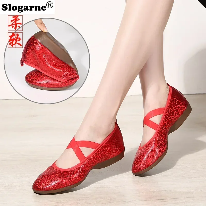 Lee más sobre el artículo Zapatos de baile de salón dorados y plateados para mujer, zapatillas