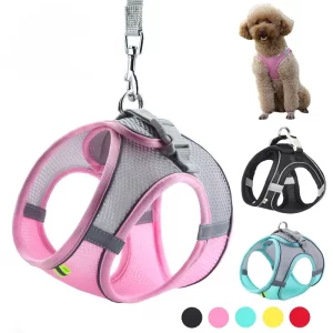 Lee más sobre el artículo Conjunto de arnés para cachorros, accesorios para perros, chaleco aj